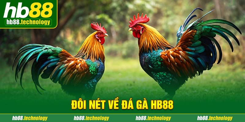 Khám phá sảnh cược đá gà HB88