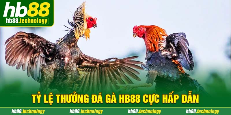 Tỷ lệ thưởng đá gà HB88 cực hấp dẫn